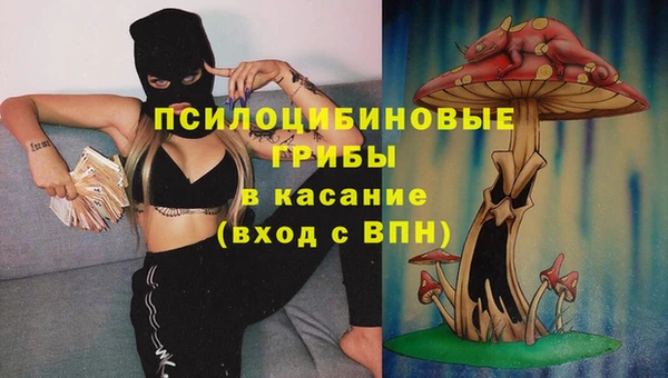 соль ск Зерноград